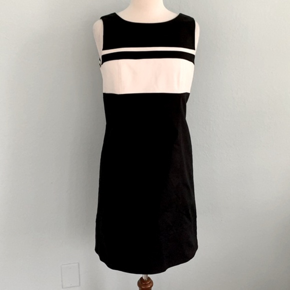 WHBM Perfect Form Dress